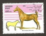 Stamps Afghanistan -  SC3