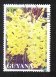 Stamps Guyana -  Orquídeas