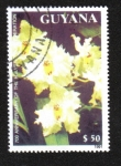 Sellos de America - Guyana -  Orquídeas