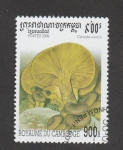 Stamps Cambodia -  Clitocybe olearia