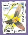 Stamps Afghanistan -  SC23