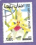 Stamps Afghanistan -  SC24