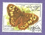 Stamps Afghanistan -  SC33