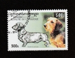 Stamps Cambodia -  Teckel de pelo duro