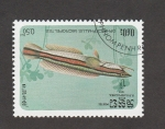 Stamps Cambodia -  Ophiocephalus micrppeltres