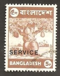 Sellos de Asia - Bangladesh -  SC