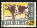 Stamps : America : Uruguay :  Riqueza Agropecuaria Uruguaya (1966)