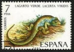 Stamps Spain -  Lacerta viridis - 2096