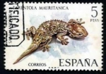 Stamps Spain -  Tarentola mauritanica - 2095