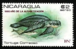 Stamps Nicaragua -  Protected Sea Turtles