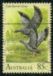 Stamps Australia -  Aves silvestres