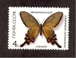 Stamps Russia -  INTERCAMBIO