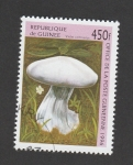 Stamps Guinea -  Cortinarius violeta