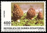 Sellos de Africa - Guinea Ecuatorial -  Micología - Morchella esculenta - Colmenilla