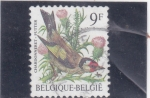 Sellos de Europa - Blgica -  ave