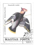 Stamps Hungary -  aves