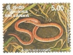 Stamps Sri Lanka -  reptiles