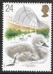 Sellos de Europa - Reino Unido -  cisnes