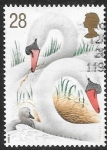 Stamps United Kingdom -  cisnes