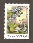 Stamps Russia -  CAMBIADO MB