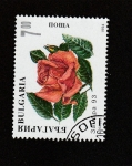 Sellos de Europa - Bulgaria -  Rosa