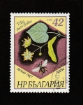 Stamps Bulgaria -  Tilia parviflora