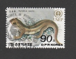 Stamps North Korea -  Hynobius leechii
