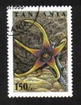 Stamps Tanzania -  Flores de Cactus