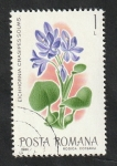 Sellos de Europa - Rumania -  3278 - Flor exótica