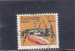 Stamps Australia -  CRUSTACEO