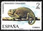 Stamps Spain -  Fauna hispanica - Camaleon