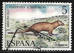 Stamps : Europe : Spain :  Fauna hispanica - Meloncillo