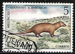 Stamps Spain -  Fauna hispanica - Meloncillo