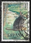 Stamps Spain -  Fauna hispanica - Topo de Rio