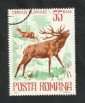 Stamps Romania -  3021 - Fauna, Cervus elaphus