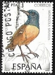 Stamps Spain -  Aves - Monticola Saxatius
