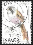 Stamps Spain -  Aves - Panurus Biarmicus