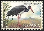 Stamps Spain -  Aves - Cigüeñas Negras