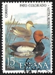 Stamps Spain -  Fauna española  Pato Colorado
