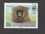 Stamps Guinea -  Papio papio