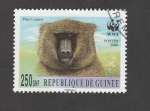 Sellos de Africa - Guinea -  Papio papio