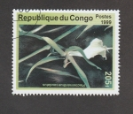 Stamps Republic of the Congo -  Plectelminthus caudatus