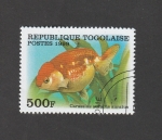 Stamps : Africa : Togo :  Carassiud auratus