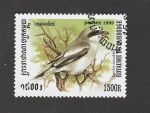 Stamps Cambodia -  Lanius excubito