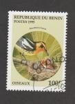 Stamps Benin -  Dendroisa fusca