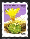 Sellos de Africa - Benin -  Cactus