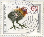 Stamps : Europe : Germany :  Pájaro