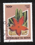 Sellos de Africa - Benin -  Cactus