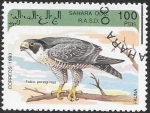 Stamps Morocco -  aves