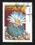 Stamps : Asia : Cambodia :  Cactus